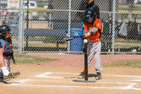 Baseball-38
