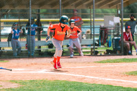 2019 spring baseball-8