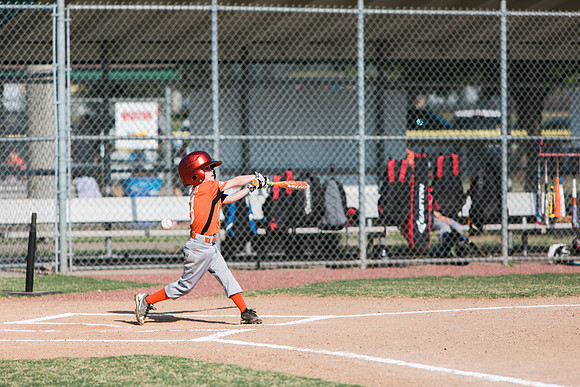 baseball team.2016-48