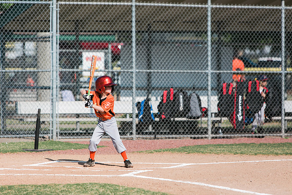 baseball team.2016-45