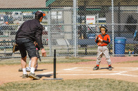 Baseball-59