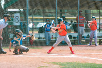 2019 spring baseball-1