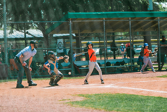 2019 spring baseball-17