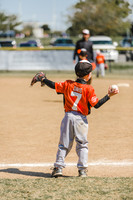 Baseball-4