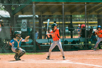 2019 spring baseball-24