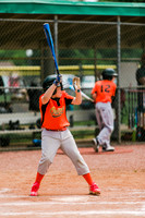 2019 spring baseball-60